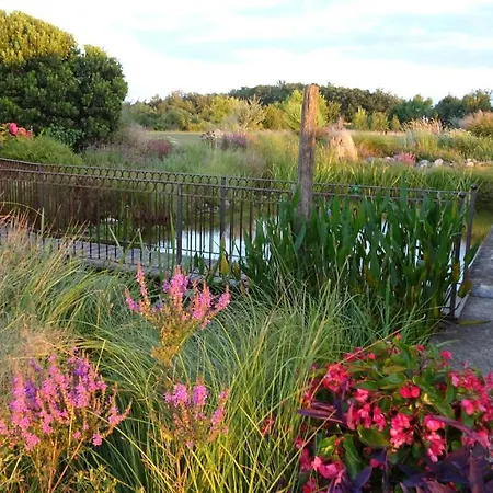 Frühstückspension D'hotes Insolite Pigeonnier In Marciac Gers Monlezun