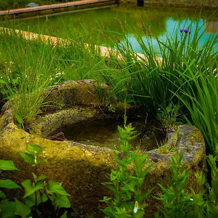 D'hotes Insolite Pigeonnier In Marciac Gers 3* Monlezun