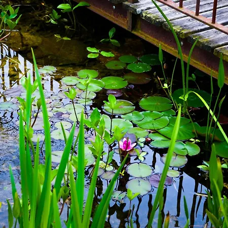 D'hotes Insolite Pigeonnier In Marciac Gers 3*