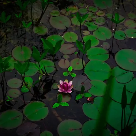 D'hotes Insolite Pigeonnier In Marciac Gers Frühstückspension