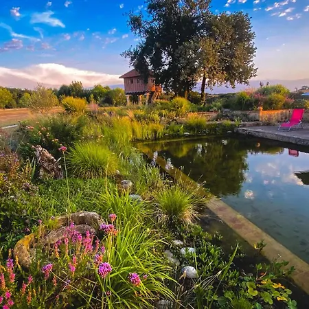 D'hotes Insolite Pigeonnier In Marciac Gers Frühstückspension Monlezun