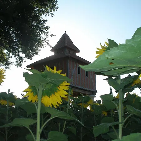 D'hotes Insolite Dans Un Pigeonnier à 5 Minutes De Marciac Gers 3*