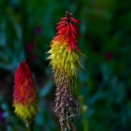 Alojamento de Acomodação e Pequeno-almoço D'hotes Insolite Dans Un Pigeonnier à 5 Minutes De Marciac Gers Monlezun