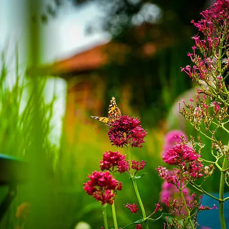 D'hotes Insolite Dans Un Pigeonnier à 5 Minutes De Marciac Gers Monlezun
