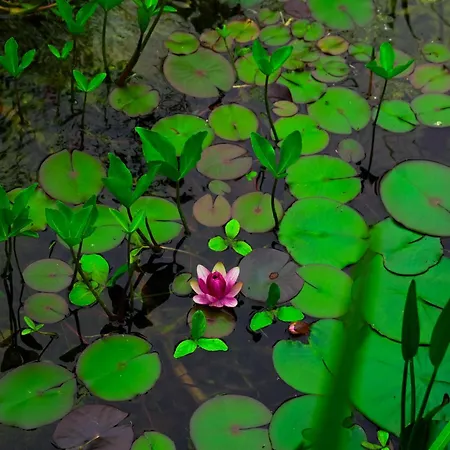 D'hotes Insolite Dans Un Pigeonnier à 5 Minutes De Marciac Gers Alojamento de Acomodação e Pequeno-almoço Monlezun