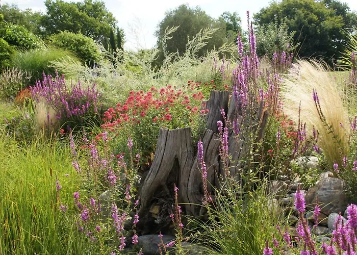 D'hotes Insolite Pigeonnier In Marciac Gers 3* Monlezun