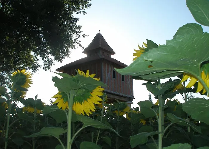 D'hotes Insolite Pigeonnier In Marciac Gers 3*