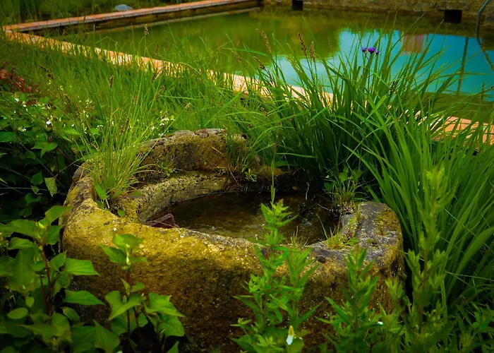 D'hotes Insolite Pigeonnier In Marciac Gers 3* Monlezun