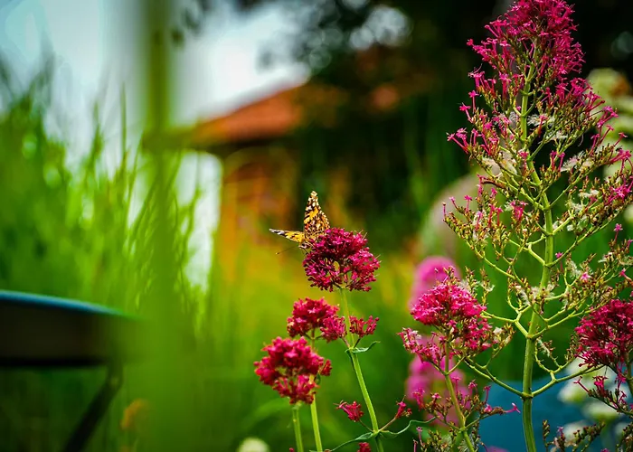 D'hotes Insolite Pigeonnier In Marciac Gers Monlezun